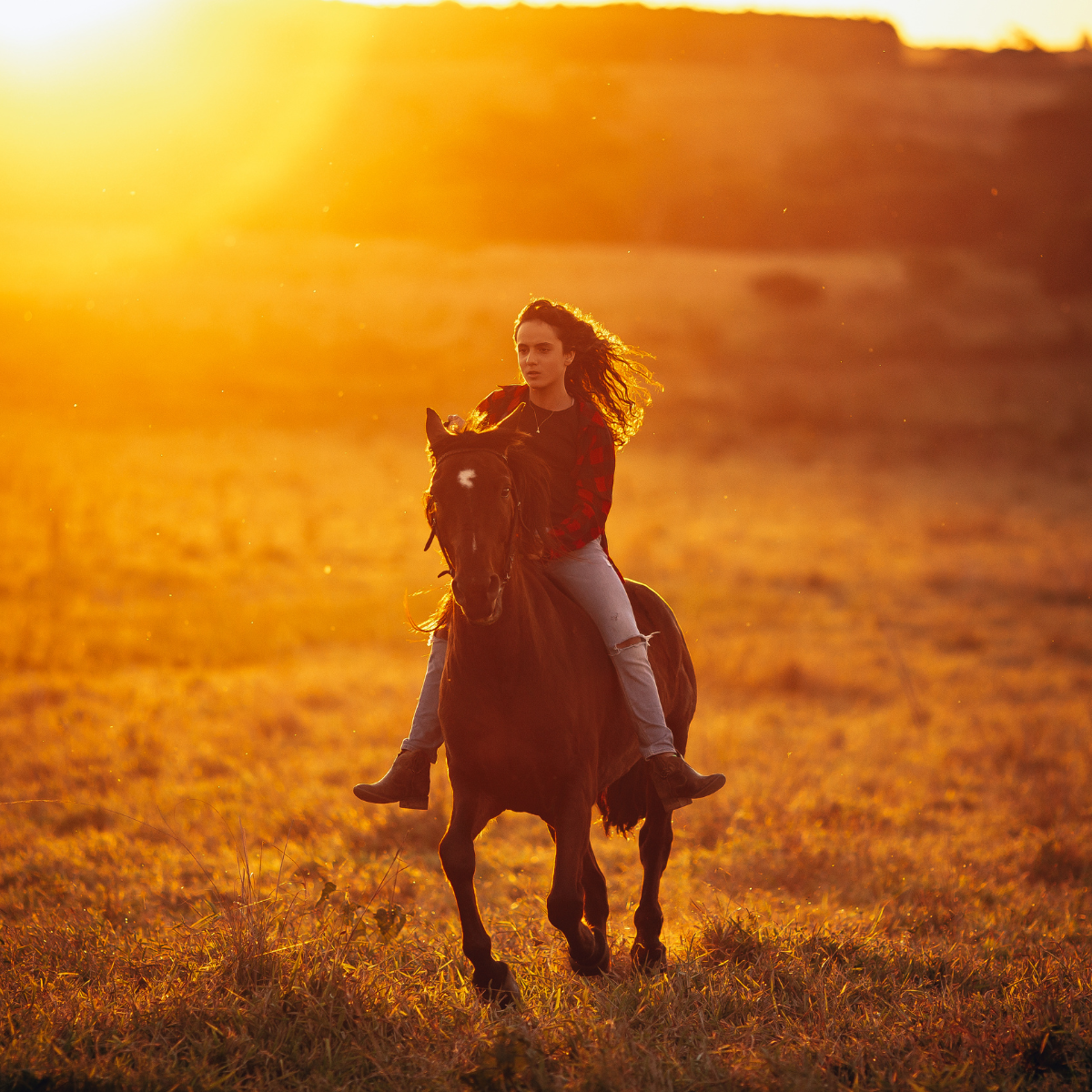 girl on horseback